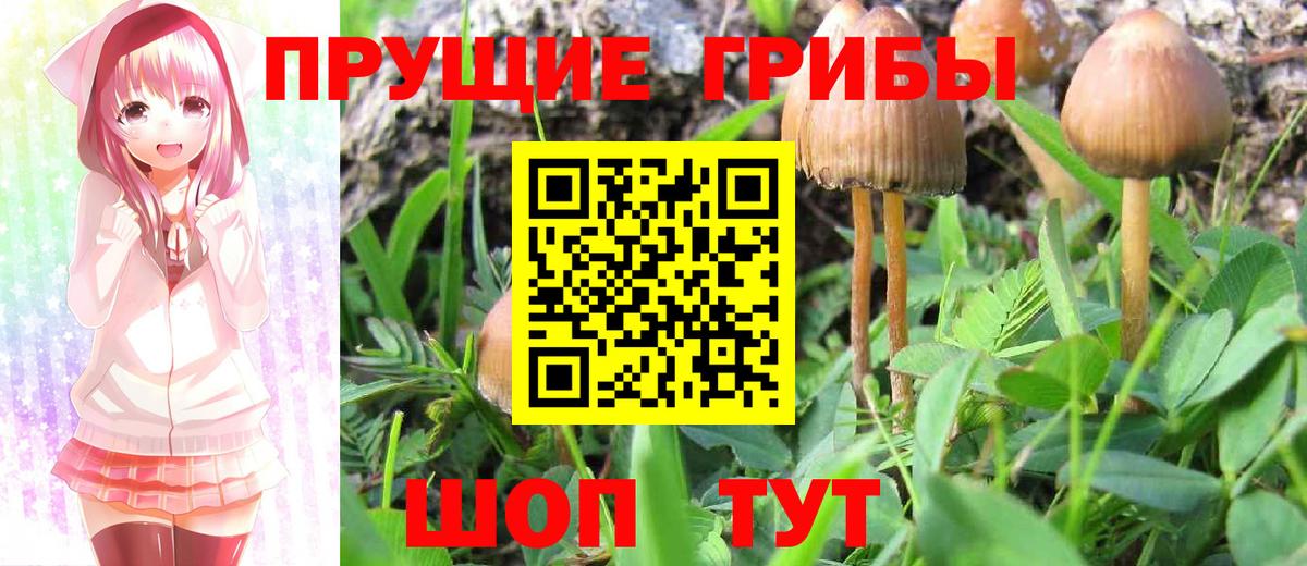 Псилоцибиновые грибы ЛСД Назарово