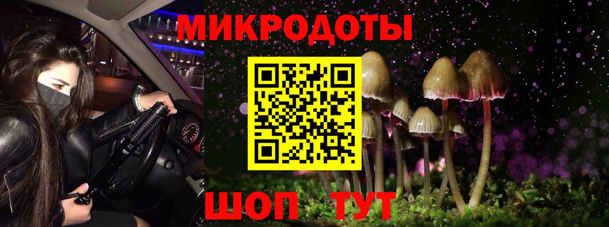 Псилоцибиновые грибы Magic Shrooms  Галлюциногенные грибы Magic Shrooms  Назарово  Вход с VPN 